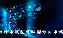 :比特币钱包可以领分叉币