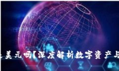  TP钱包里的钱是美元吗？