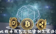 比特币钱包忘记密钥怎么