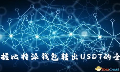 快速掌握比特派钱包转出USDT的全部细节