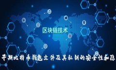 探索早期比特币钱包文件及其私钥的安全性和隐