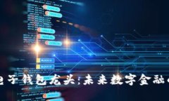 区块链电子钱包龙头：未来数字金融的引领者