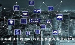 全面解读支持USDT的钱包类型及其优劣分析