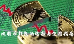 比特币钱包的选择与使用指南