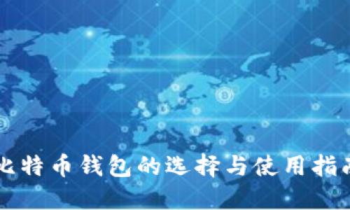 比特币钱包的选择与使用指南